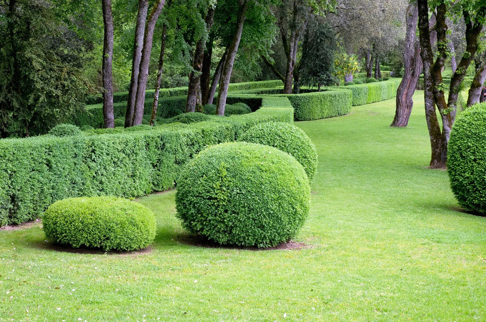 entretien jardin (2)