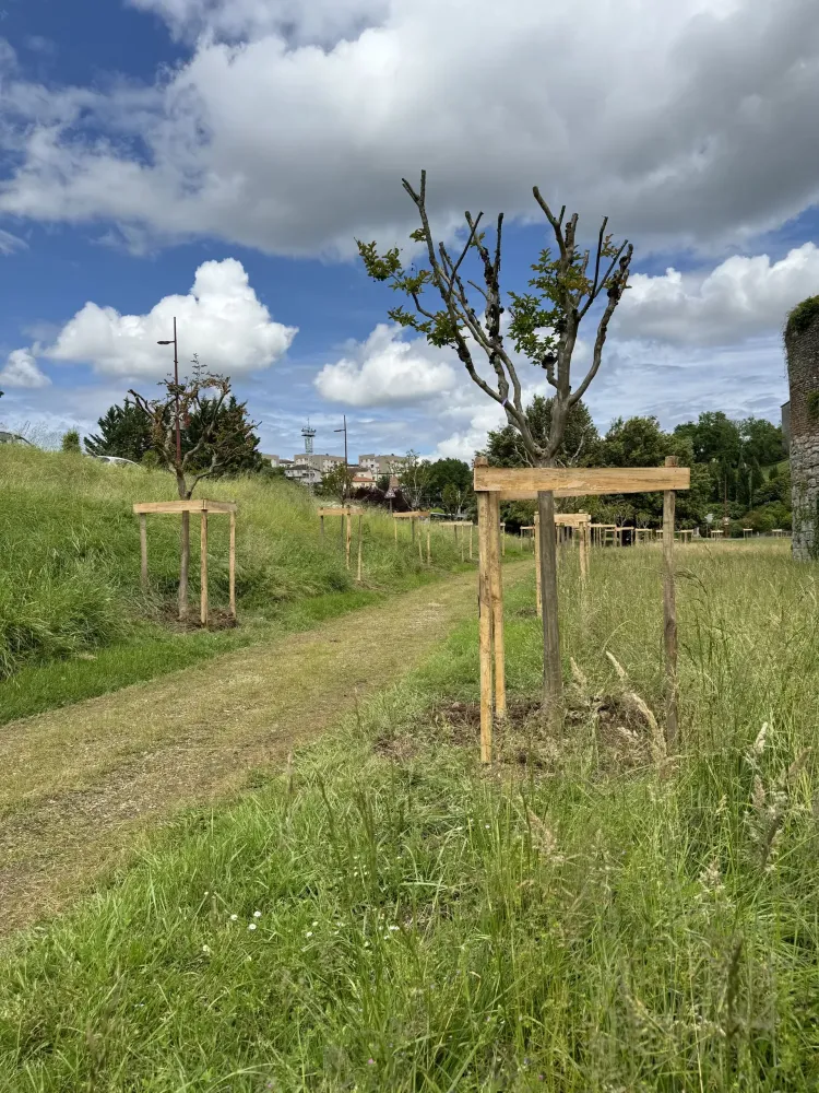 MARION ESPACES VERTS (47)